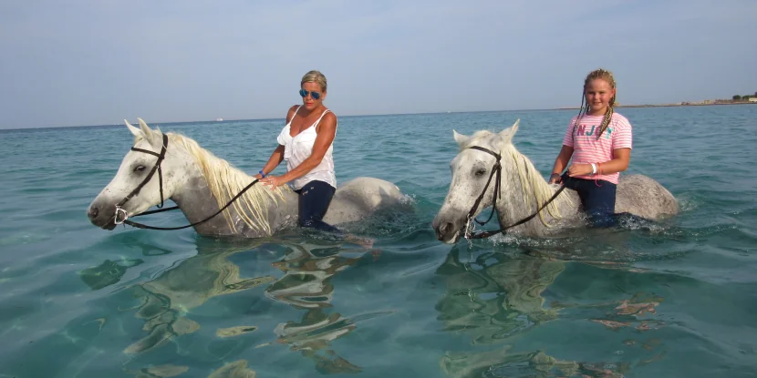 Private Horse riding 3 hours - Swimming with horse and sunset