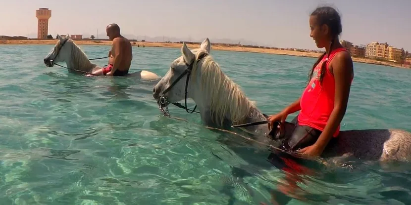 Private Horse riding 3 hours - Swimming with horse and sunset