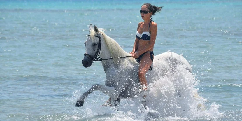 Private Horse riding 3 hours - Swimming with horse and sunset