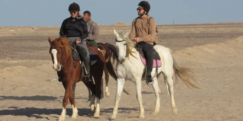 Private Horse riding 3 hours - Swimming with horse and sunset