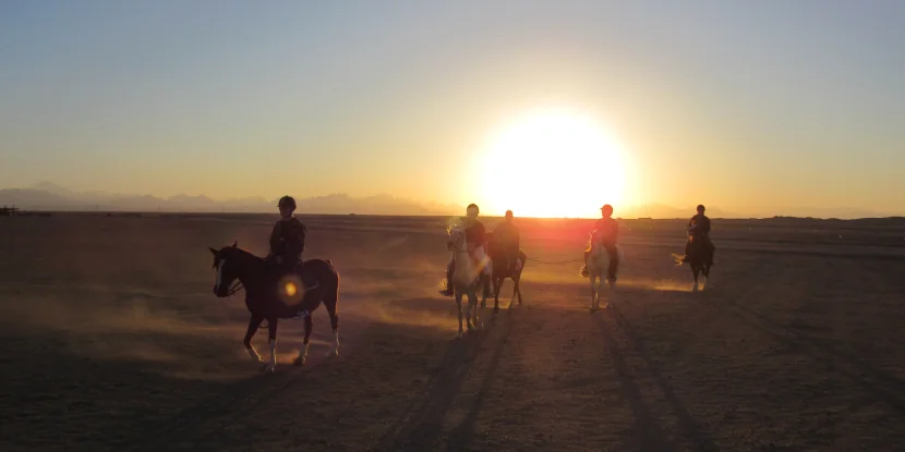 Private Horse riding 3 hours - Swimming with horse and sunset