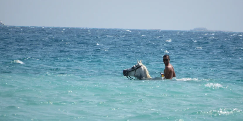 Private Horse riding 3 hours - Swimming with horse and sunset